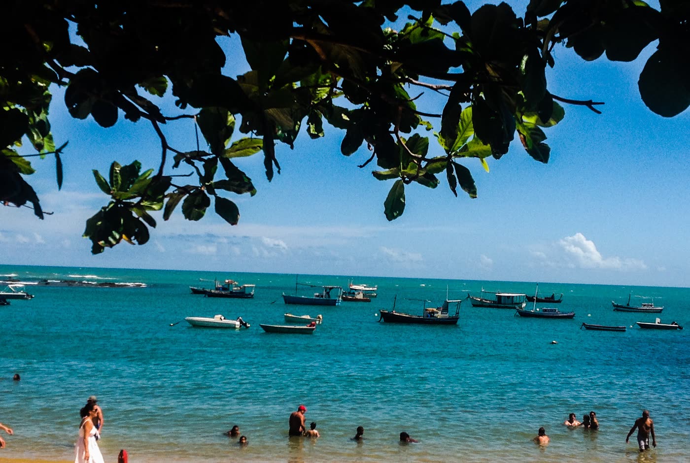 Água azul e barcos na Praia do Forte, vistos entre as folhas